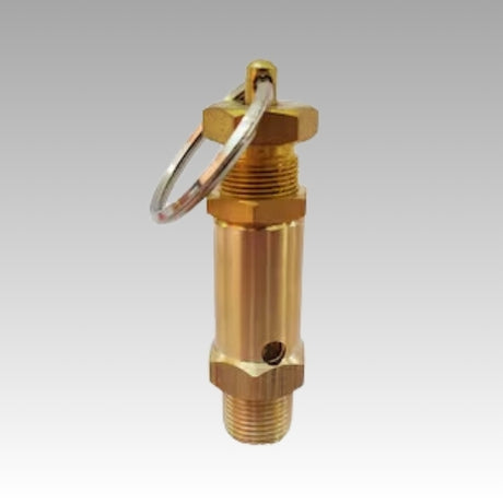 1"X 25 PSI Safety Valve ASME - Airtek