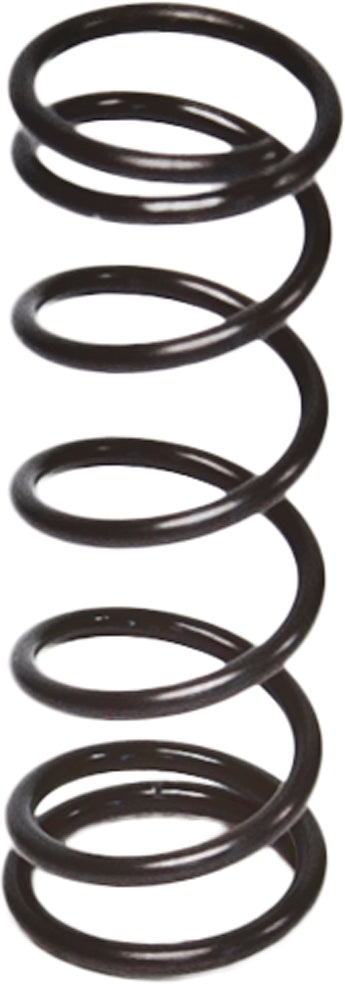 Throttle Spring